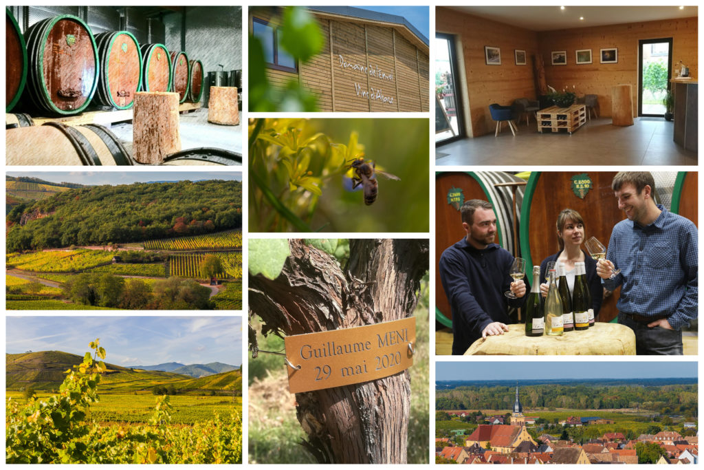 Nos activités Oenotourisme Domaine De l Envol Vins d Alsace