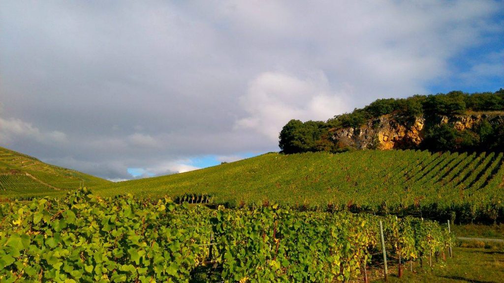 Terroirs d'Alsace - Vins Bio d'Alsace - Domaine de l'Envol