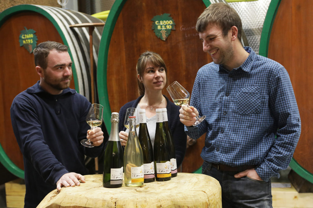 Vins d'Alsace Bio et Biodynamique - Domaine de l'Envol à Ingersheim